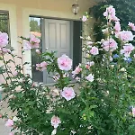 Rocmar Charming With Sea View Roquebrune-sur Argens